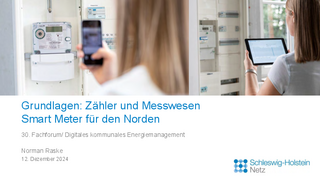 Grundlagen: Zähler und Messwesen Smart Meter für den Norden herunterladen