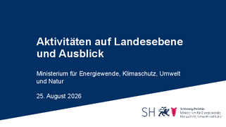 Aktivitäten auf Landesebene und Ausblick herunterladen