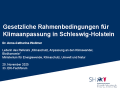 Gesetzliche Rahmenbedingungen für Klimaanpassung in Schleswig-Holstein herunterladen