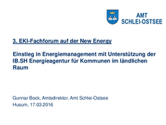 Einstieg in Energiemanagement mit Unterstützung der IB.SH Energieagentur für Kommunen im ländlichen Raum  herunterladen