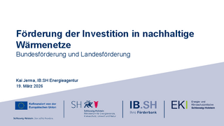 Förderung der Investition in nachhaltige Wärmenetze (BEW, LPW, KWKG) herunterladen