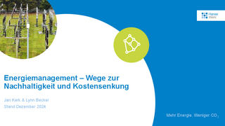 Optimum Energiemanagement – Wege zur Nachhaltigkeit und Kostensenkung herunterladen