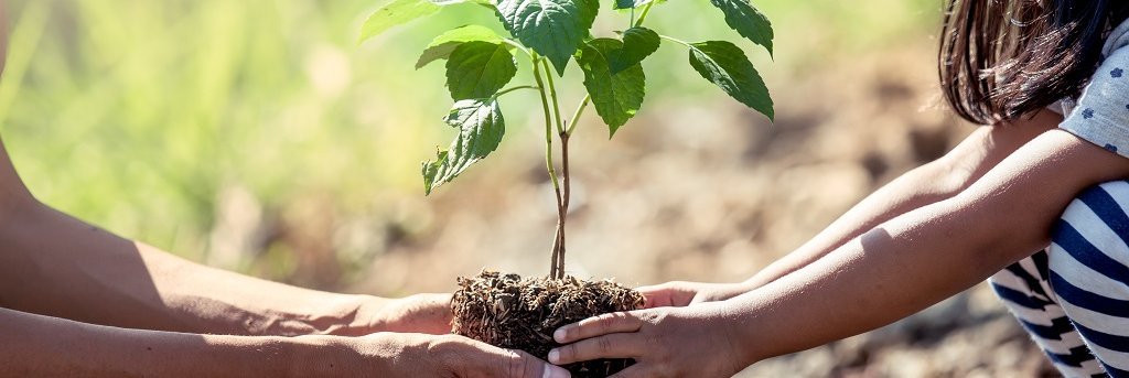 Menschen und Baum