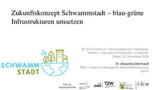 Zukunftskonzept Schwammstadt – blau-grüne Infrastrukturen umsetzen herunterladen