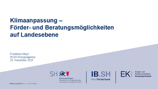Förder- und Beratungsmöglichkeiten herunterladen