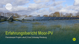 Erfahrungsbericht Moor-PV - Praxisbeispiel Projekt Lottorf herunterladen
